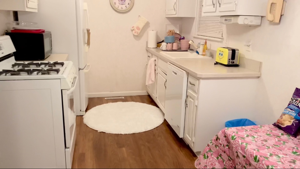 Before image